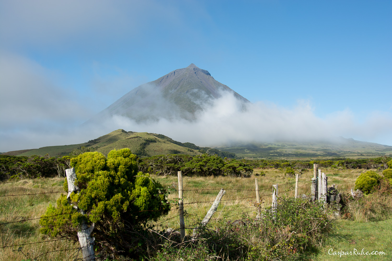 Mt Pico